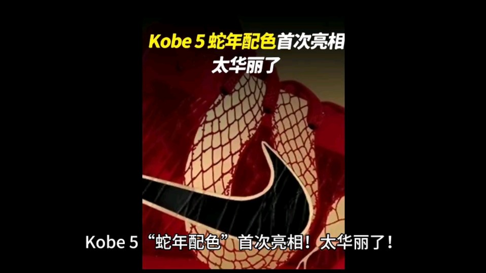 星空体育-中国运动员华丽亮相，力克对手夺牌